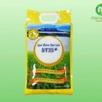 in bao bi gao 200x200 1