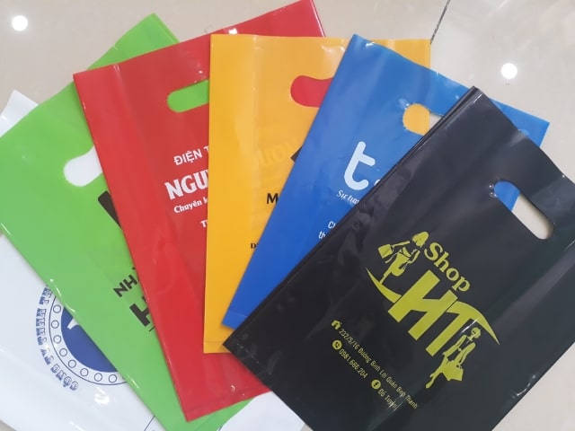 In túi PP 6 In Tui Hot Xoai Thoi Trang 1 Min