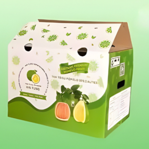 Thiết Kế Chưa Có Tên (1)