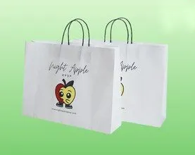 In Tui Giay Kraft Trang 1