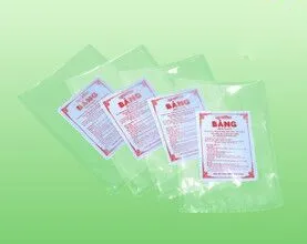 In Tui Hut Chan Khong Tui Pa