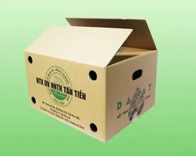 Thung Carton In Flexo